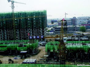 蓄勢(shì)發(fā)力 引領(lǐng)高品質(zhì)生態(tài)社區(qū)潮流 綏中縣金屋房地產(chǎn)開發(fā)訪談錄