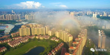 欽州發文加強房地產市場調控，促進房地產開發行業健康發展